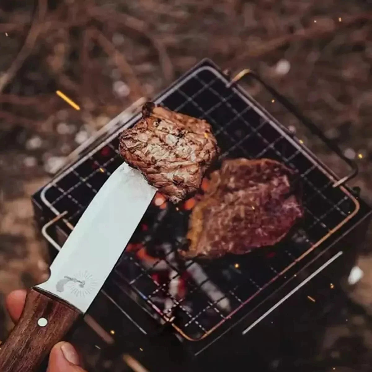 Stainless Steel Wood-burning Stove Lightweight Compact Camping Stove Portable Folding Wood Stove For Outdoor Camping Hiking