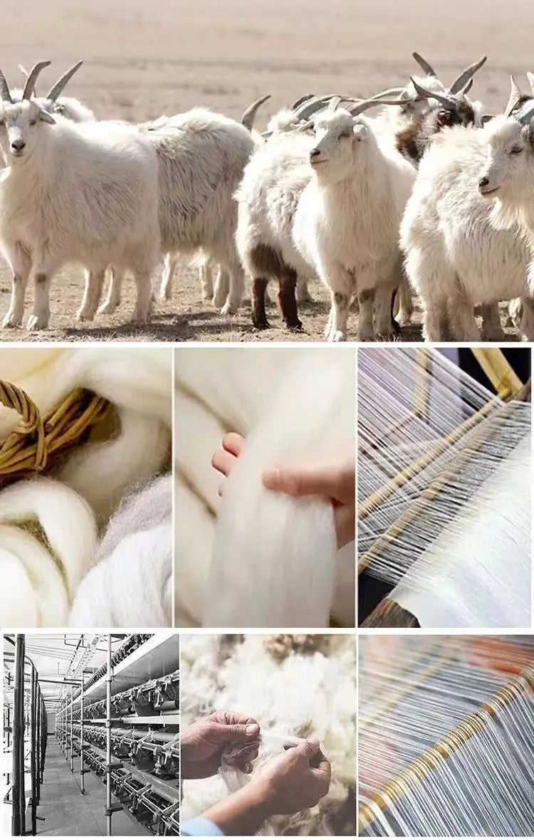 100%Merino Pure Wool Sweater Women's AutumnWinter Long Sleeve High Neck Pullover Warm High Quality Solid Color Basic Knit Jumper